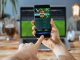 How Winbuzz APK Revolutionizes Betting for Mobile Gamers